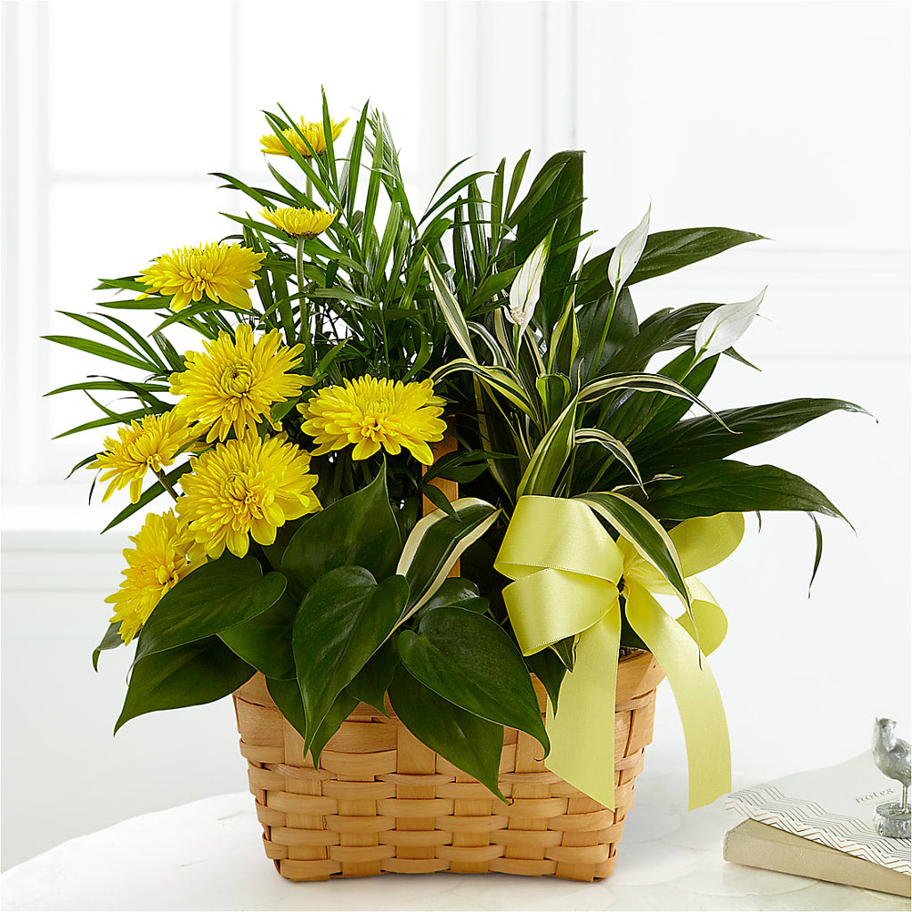 Loving Light Dishgarden – FLOWER'S SMILING DESIGNS, Manchester NJ