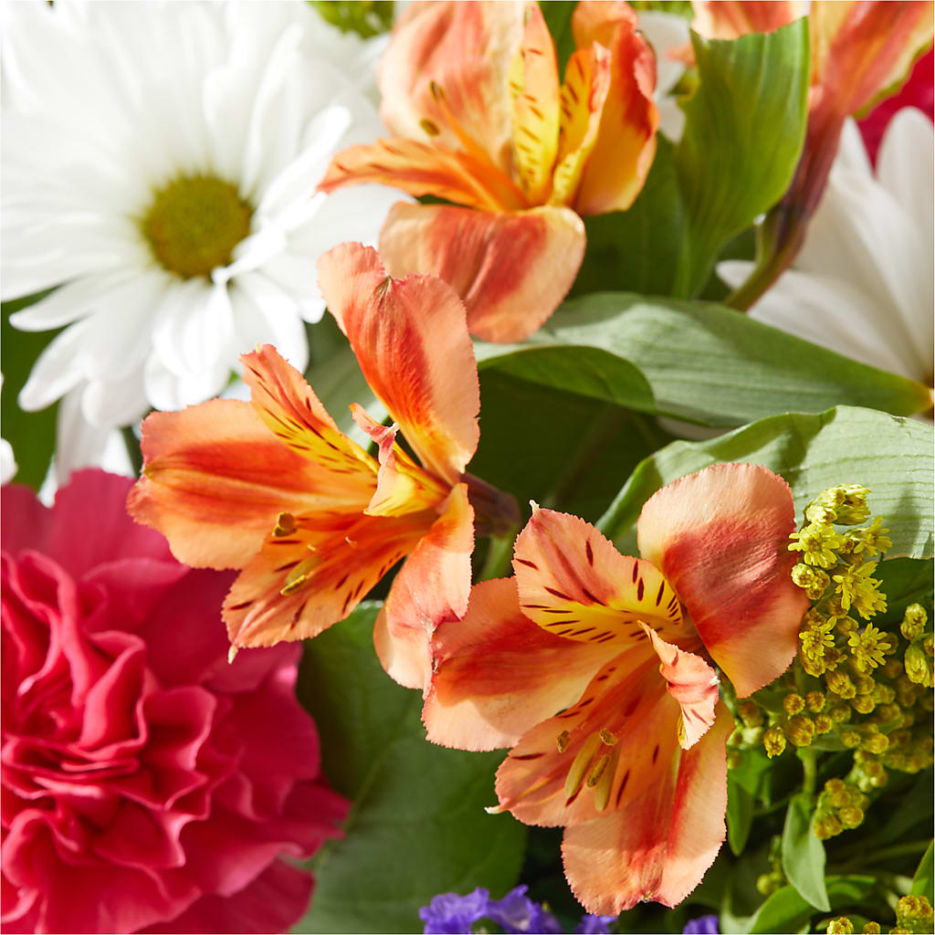 Oopsie Daisy Box Bouquet – FLOWER'S SMILING DESIGNS, Manchester NJ