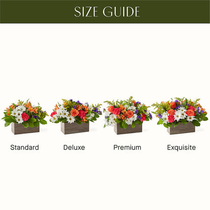 Oopsie Daisy Box Bouquet – FLOWER'S SMILING DESIGNS, Manchester NJ
