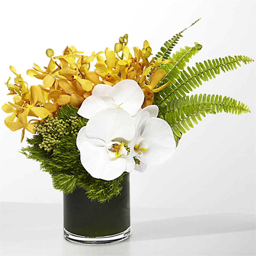 The Tropics – FLOWER'S SMILING DESIGNS, Manchester NJ