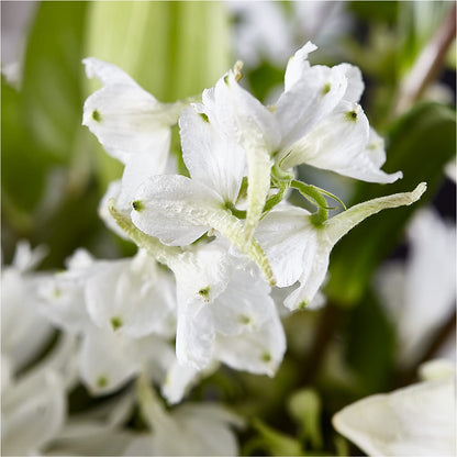 Classic Ivory – A Florist Original – FLOWER'S SMILING DESIGNS, Manchester NJ