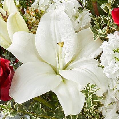 Twinkle Lights Bouquet – FLOWER'S SMILING DESIGNS, Manchester NJ