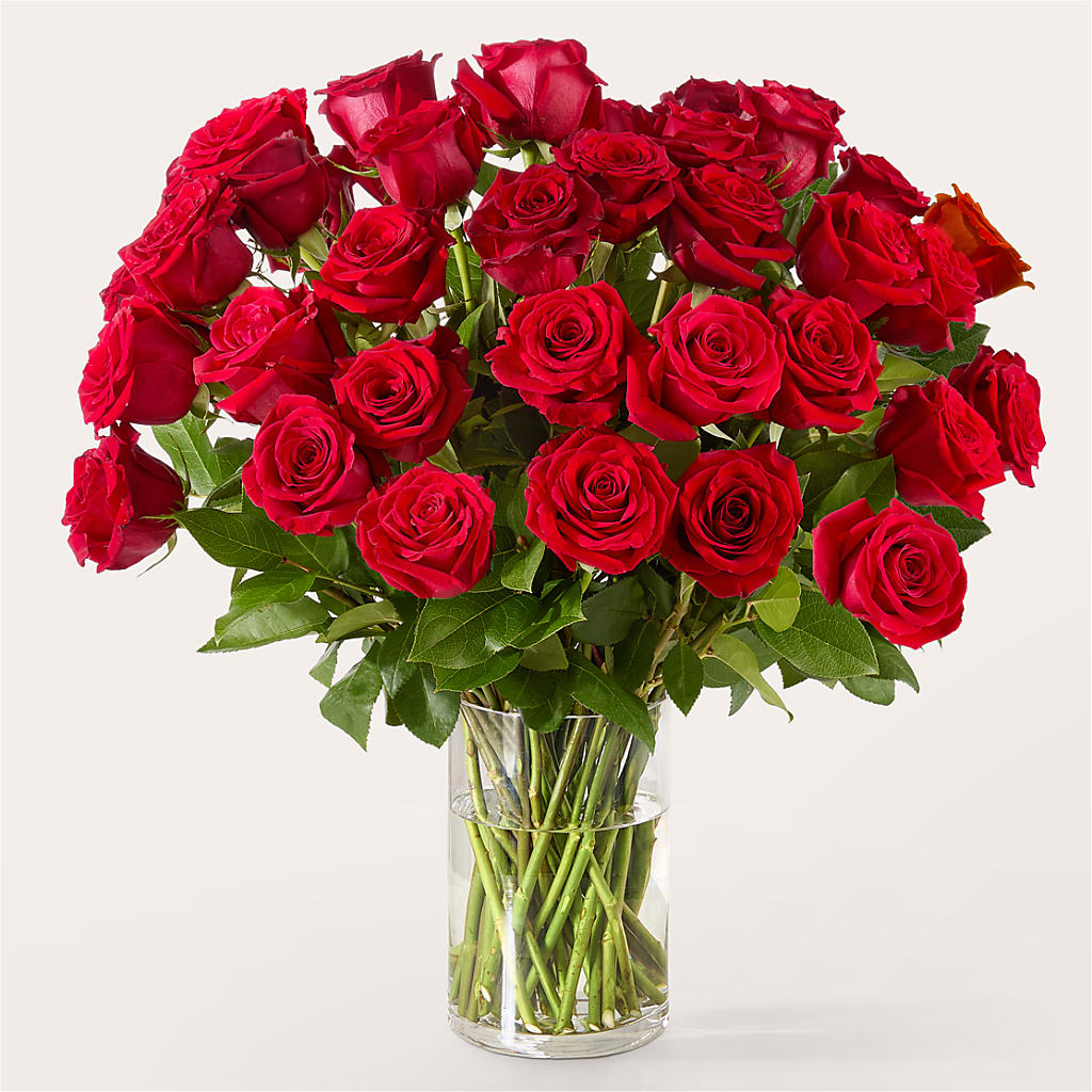 The One Red Rose Bouquet – FLOWER'S SMILING DESIGNS, Manchester NJ