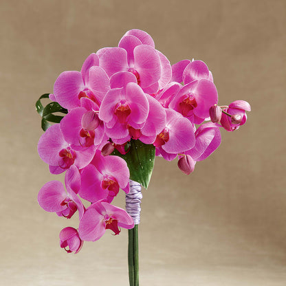 Glorious Bouquet – FLOWER'S SMILING DESIGNS, Manchester NJ